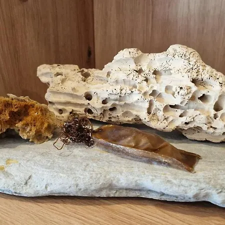 La Luz De San Agustin - 2 Hab 6 Pax - Vut-4299-as