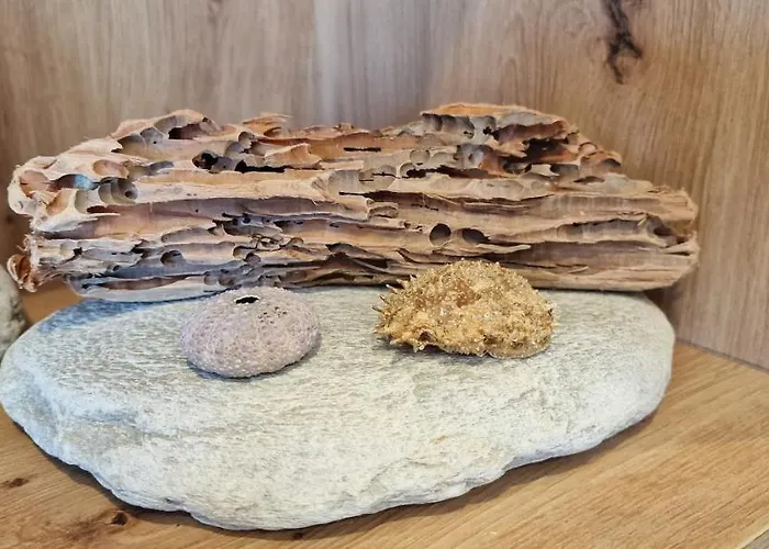 La Luz De San Agustin - 2 Hab 6 Pax - Vut-4299-as * Gijón