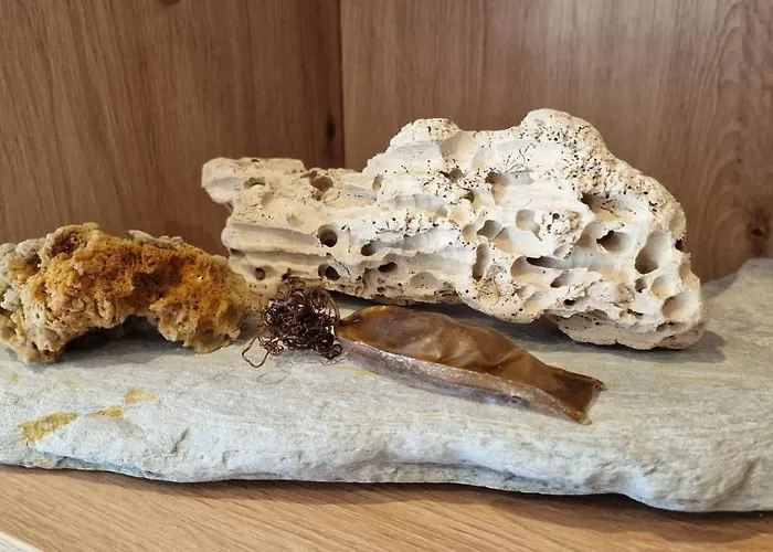 La Luz De San Agustin - 2 Hab 6 Pax - Vut-4299-as