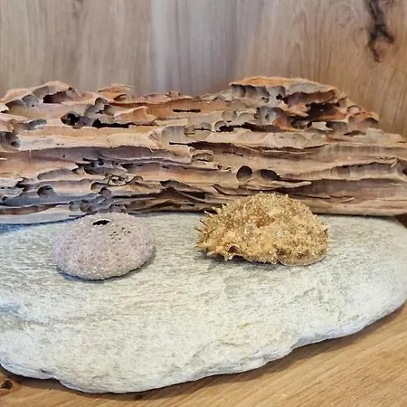 La Luz De San Agustin - 2 Hab 6 Pax - Vut-4299-as * 希洪